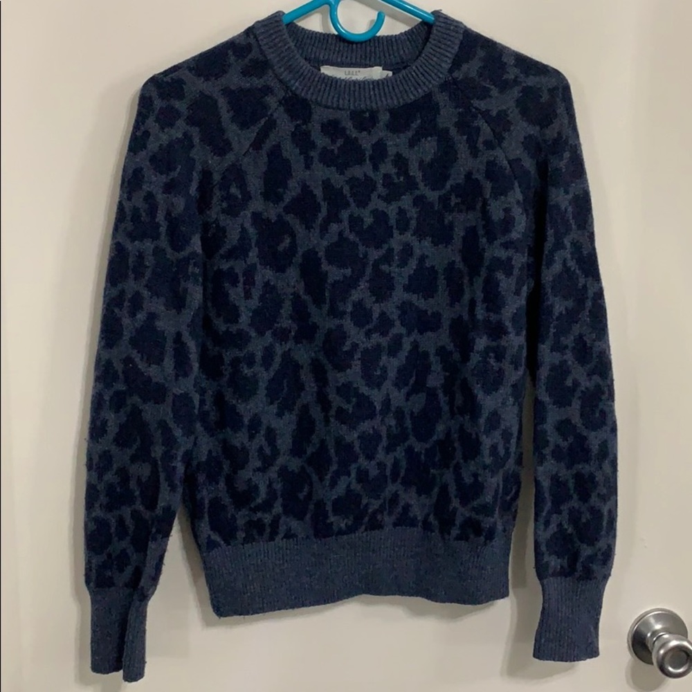 H&M Blue Leopard Print Sweater XS